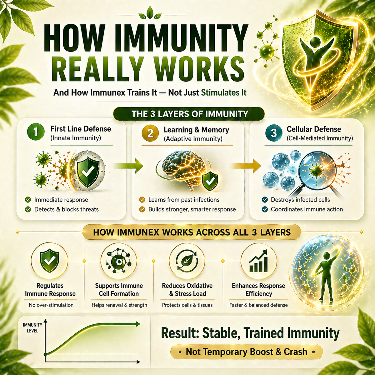 IMMUNEX – Strengthen Your Body’s Defenses Naturally