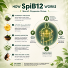 SpiB12 - Vitamin B12 Supplement for Energy