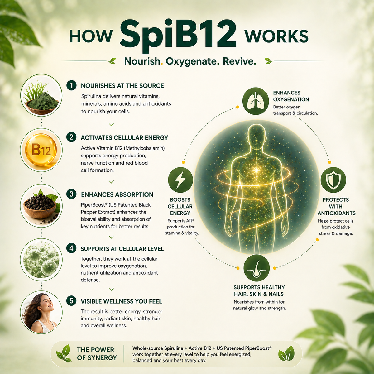 SpiB12 - Vitamin B12 Supplement for Energy