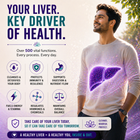 LivTox – Gentle Support for a Strong, Healthy Liver