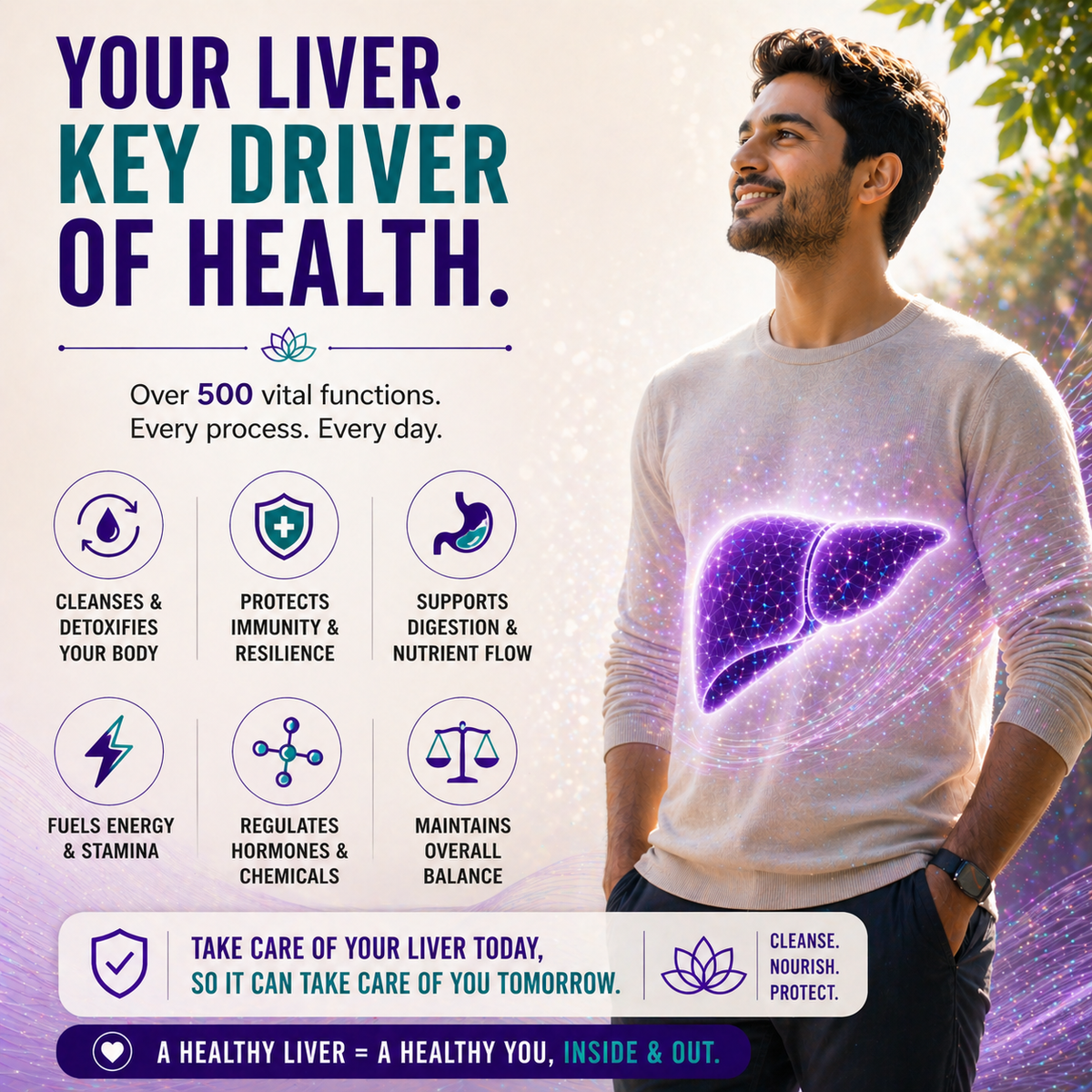 LivTox – Gentle Support for a Strong, Healthy Liver