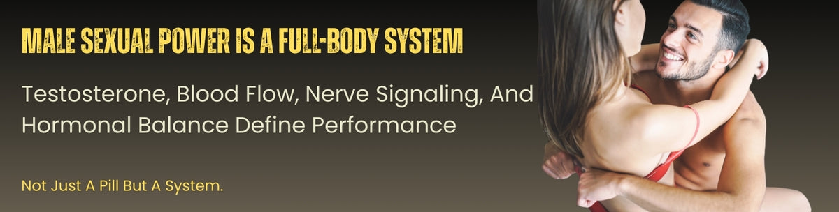 Male Sexual Performance Is A Full-Body Biological System