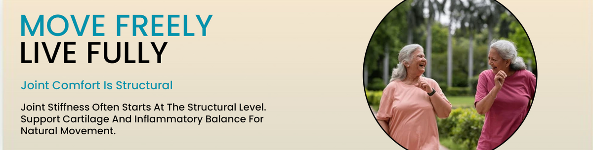 Structural Foundation Of Joint Health