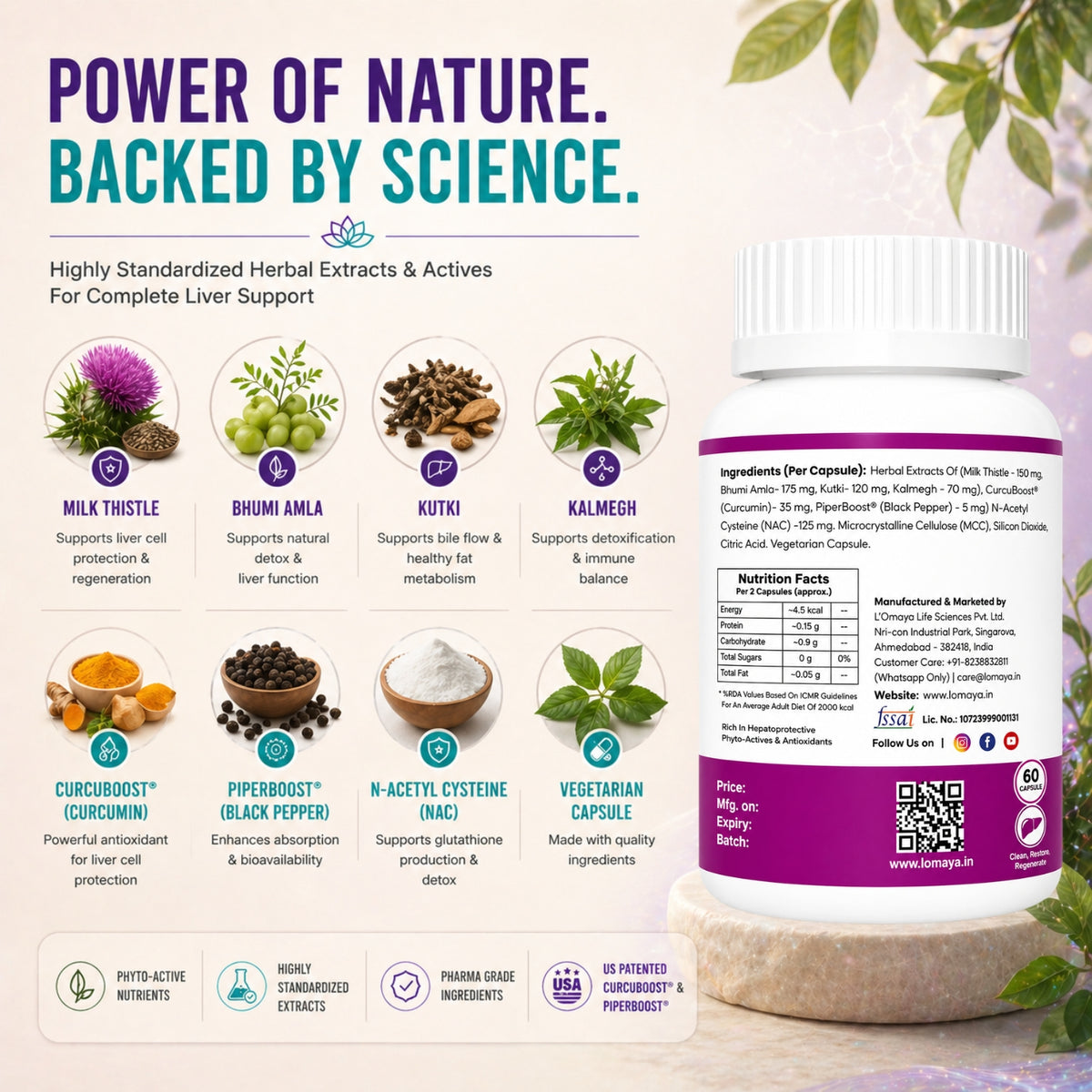 LivTox – Gentle Support for a Strong, Healthy Liver