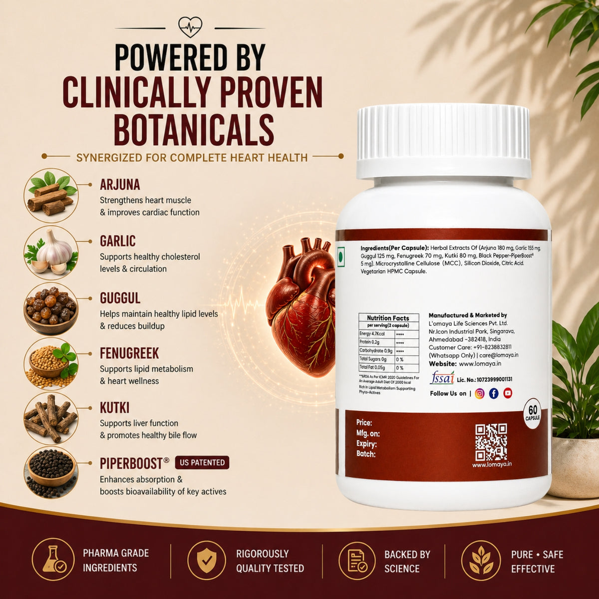 CardiZen – Natural Cholesterol Harmony & Heart Resilience