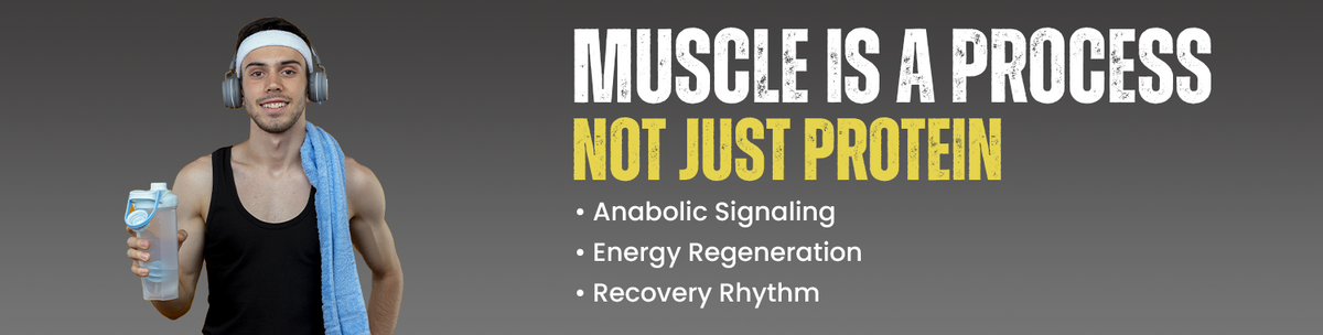 Supports The Biological Process That Drives Muscle Growth