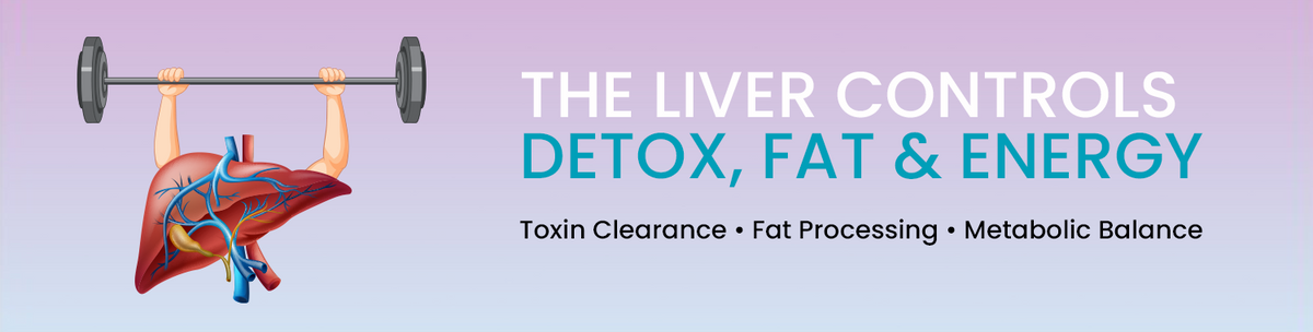 Supports The Liver Functions That Control Detox And Metabolism