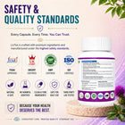 LivTox – Gentle Support for a Strong, Healthy Liver
