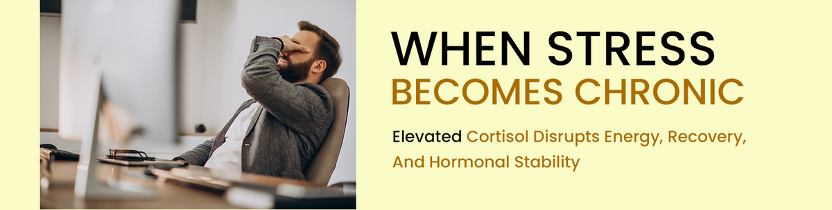 Chronic Stress Disrupts Biological Stability