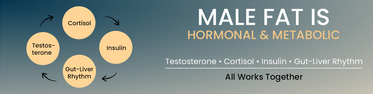 Male Fat Loss Is Controlled By Hormonal And Metabolic Signals