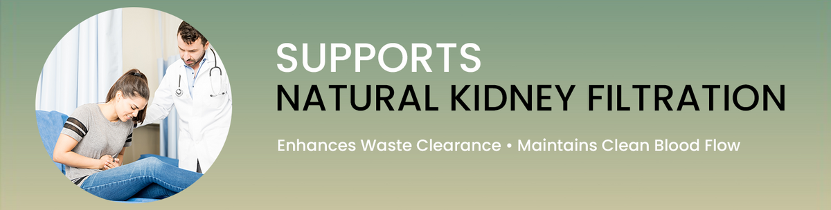 Supports Natural Kidney Filtration And Waste Removal