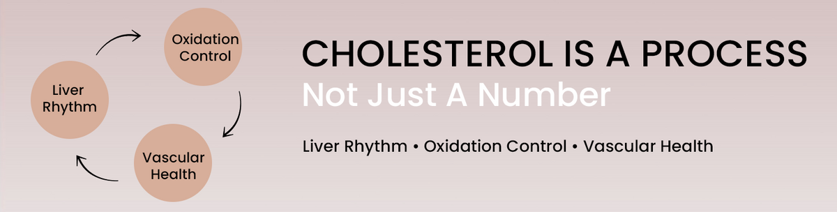Because Cholesterol Balance Is Controlled By Systems, Not A Single Pathway