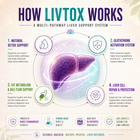 LivTox – Gentle Support for a Strong, Healthy Liver
