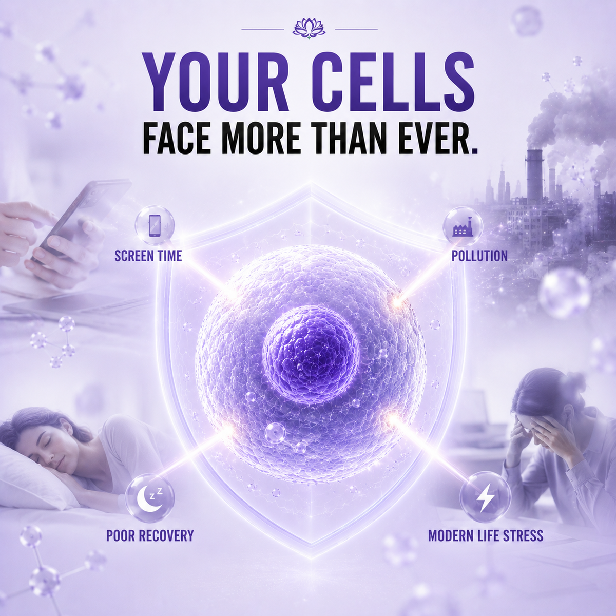 MODERN LIFE CREATES MODERN CELLULAR STRESS.