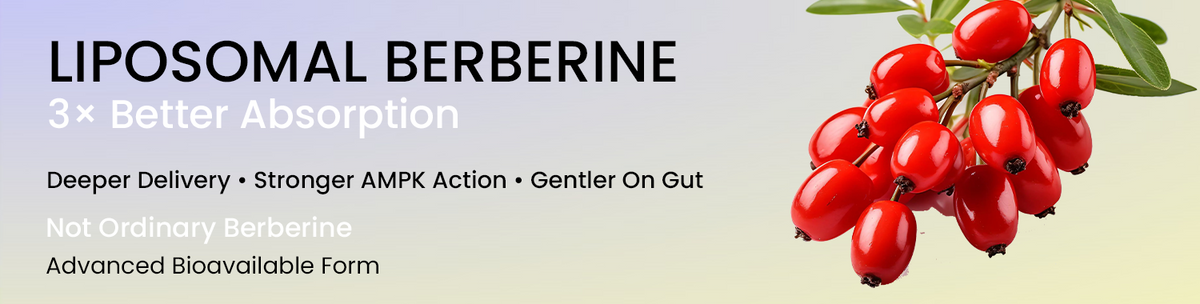 Liposomal Berberine That Reaches Where It Truly Matters