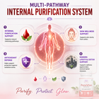 PureVive - Pure From Within