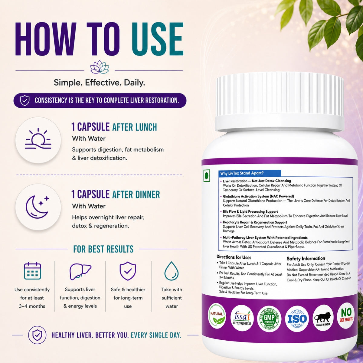 LivTox – Gentle Support for a Strong, Healthy Liver