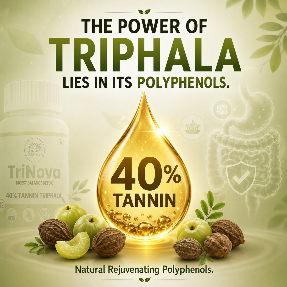 POLYPHENOLS ARE THE ACTIVE ADVANTAGE.