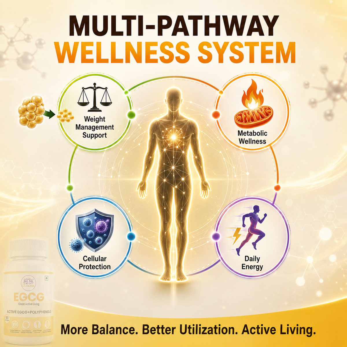 EGCG - Clean Active Living