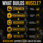 Masculone - Where Strength Meets Style