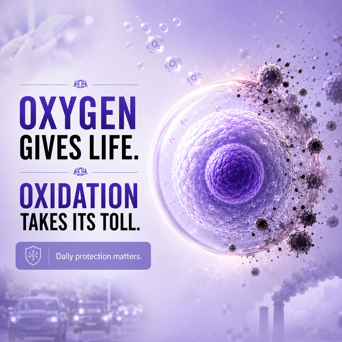 OXIDATIVE STRESS IS A DAILY CHALLENGE.