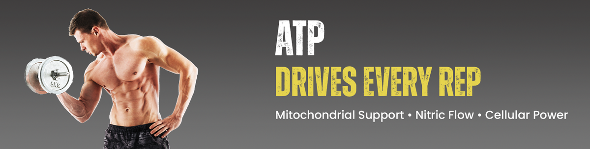 Improves Strength And Cellular Energy Production