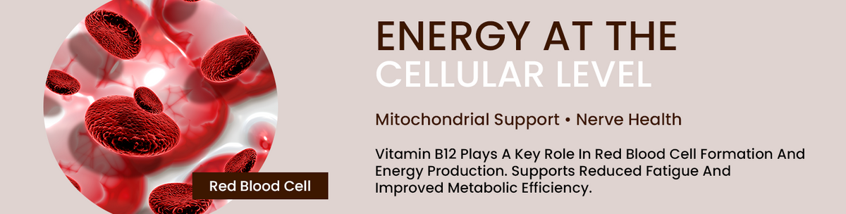 Energy Pathways With Cellular Protection