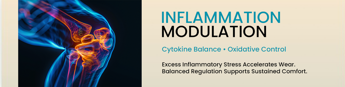 Balanced Inflammatory Response