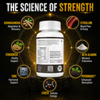 Masculone - Where Strength Meets Style