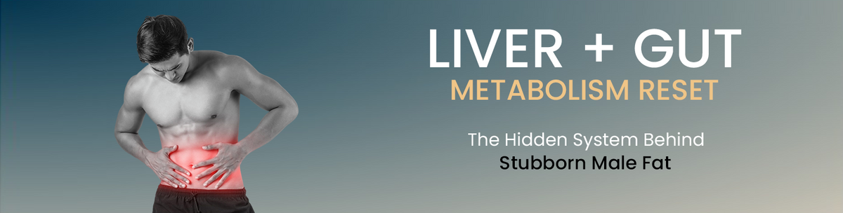 Supports Liver And Gut For Better Fat Metabolism