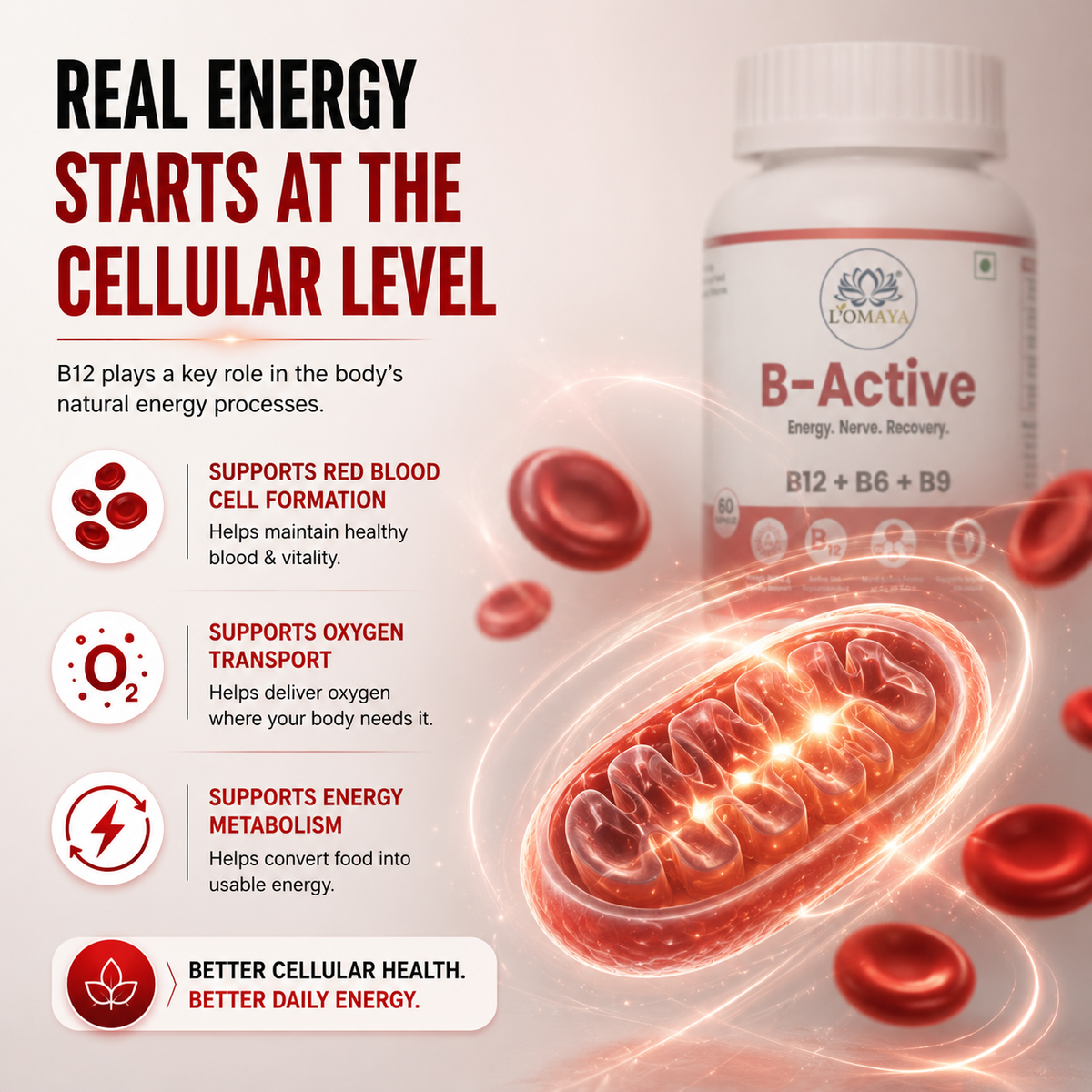 Supporting Energy Production At The Cellular Level