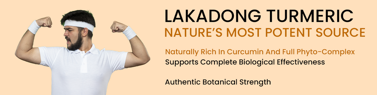 Lakadong Turmeric Provides Complete Botanical Support