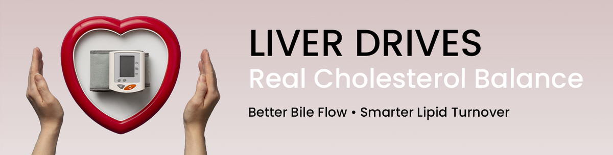 Optimizing Liver Function — The Foundation Of Healthy Cholesterol Regulation