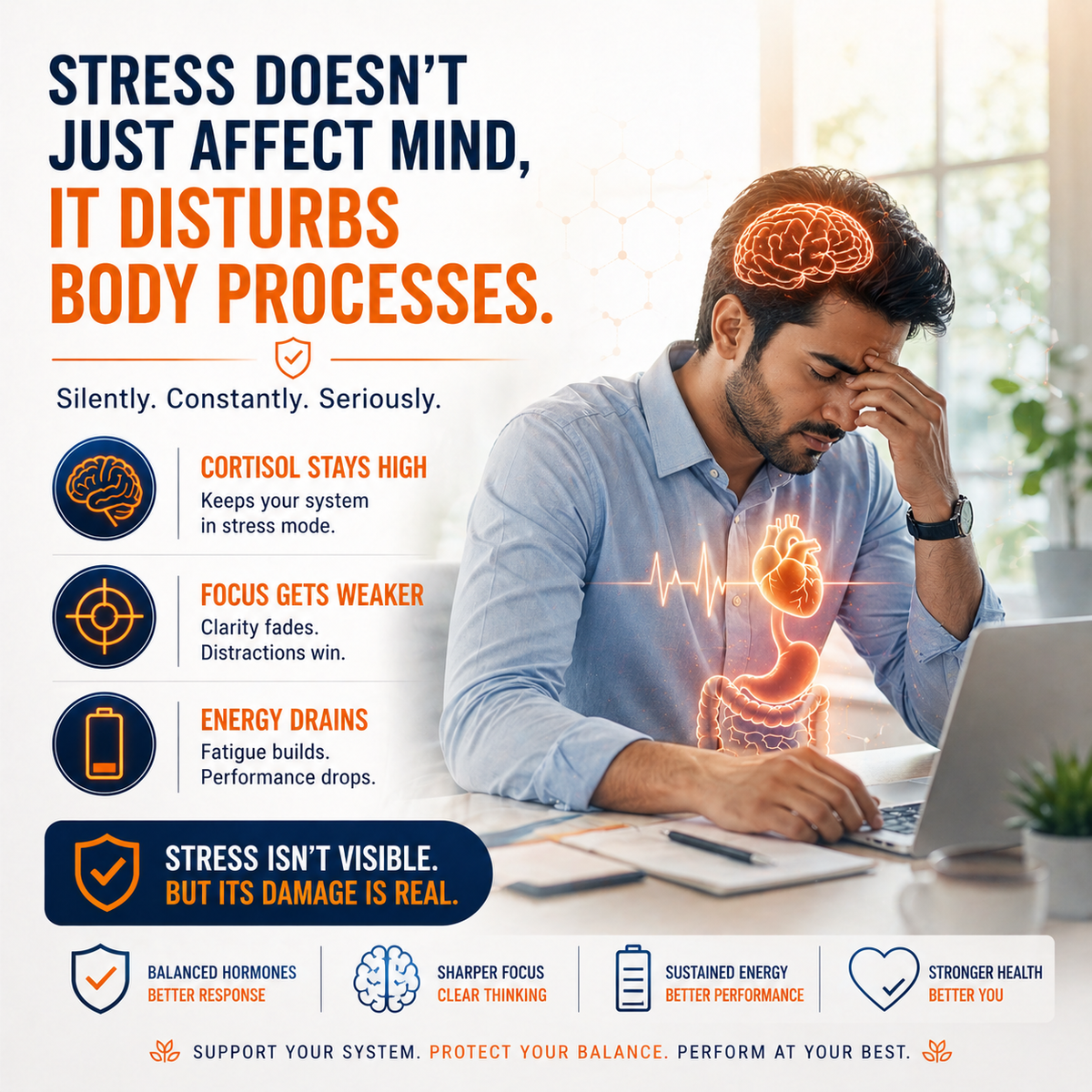 CORPZEN – Natural Calm & Clear Mind Support Supplement