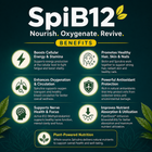 SpiB12 - Vitamin B12 Supplement for Energy