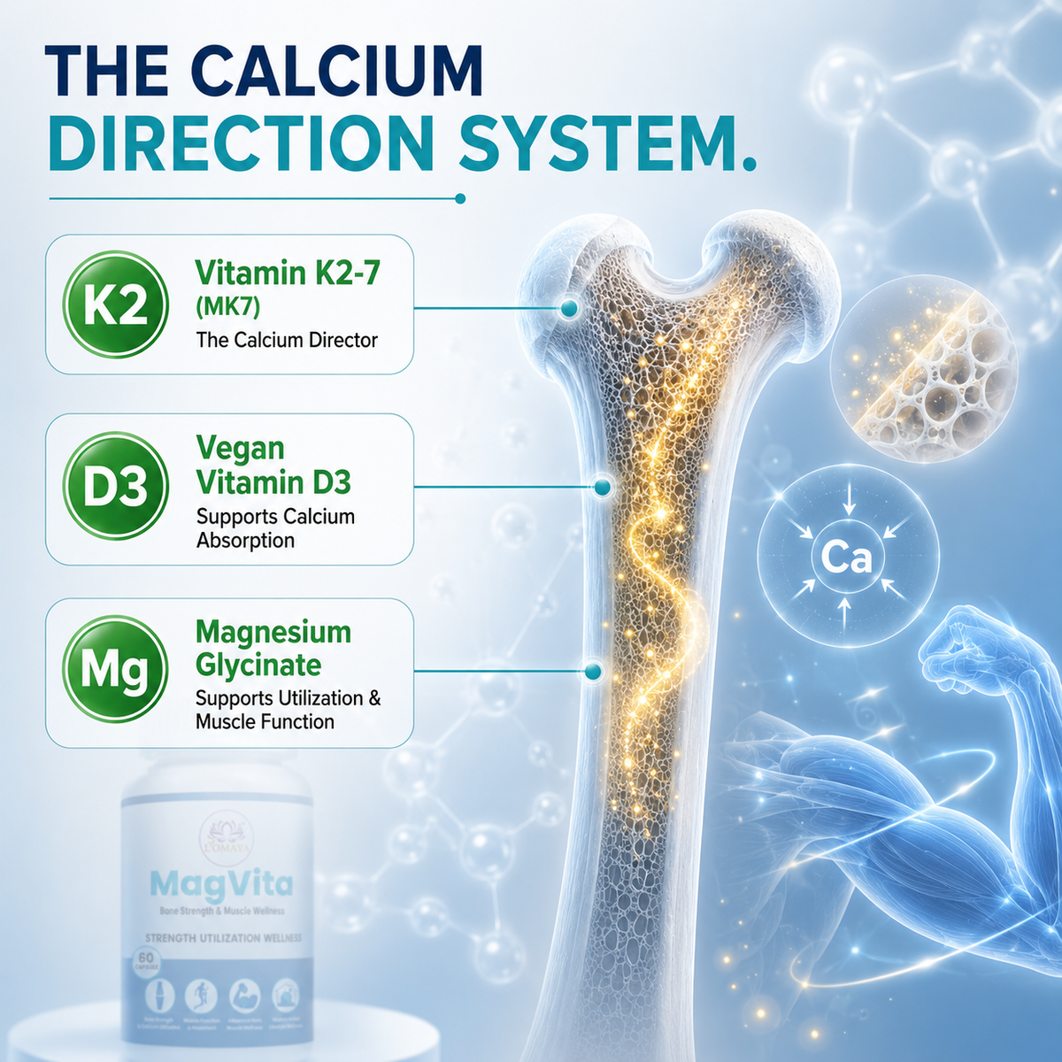 A SCIENTIFICALLY COMPLEMENTARY NUTRIENT SYSTEM