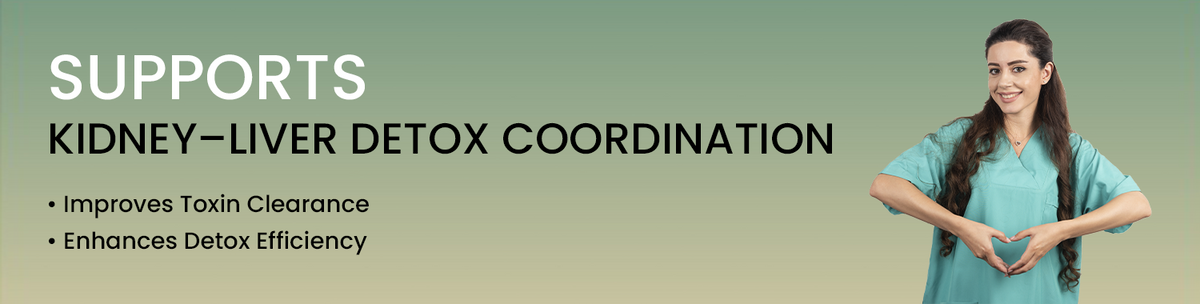 Supports Hepato-Renal Synergy For Complete Detox