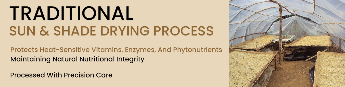 Careful Drying Preserves Nutritional Integrity