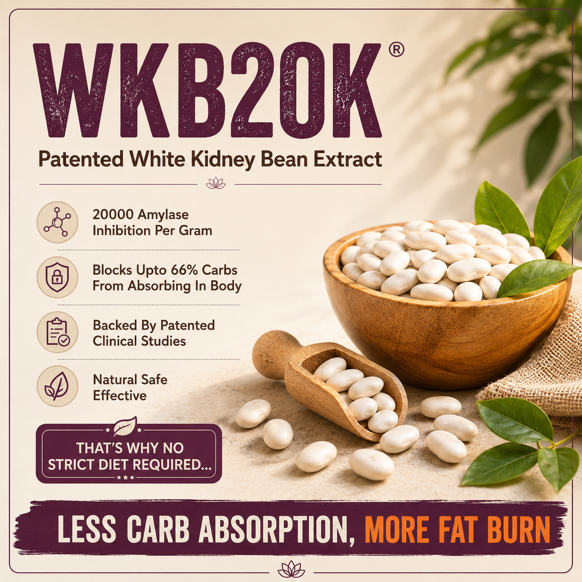 Coffeecut - Long Lasting Fatloss
