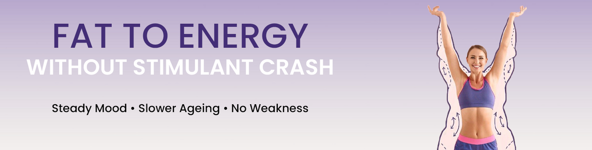 Helps Convert Stored Fat Into Usable Energy