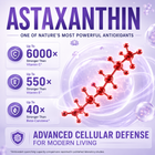 OxyZen - Daily Cellular Defense