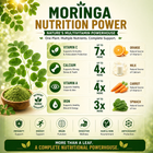 MoriNex – Holistic Wellness & Natural Energy Support