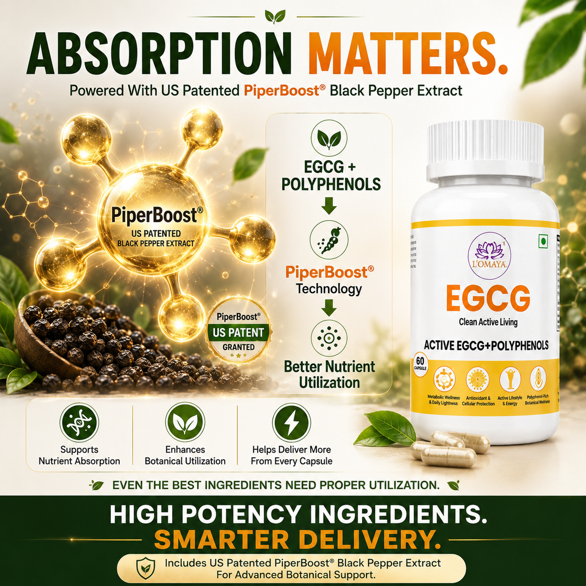EGCG - Clean Active Living