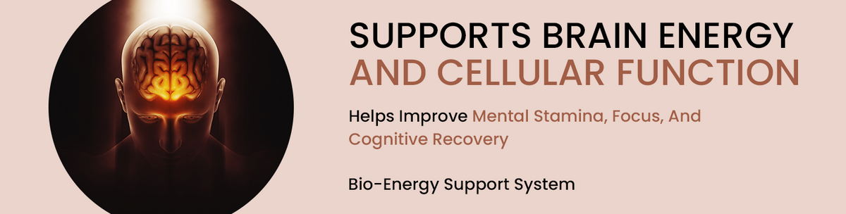 Brain Bio-Energy Enhancement