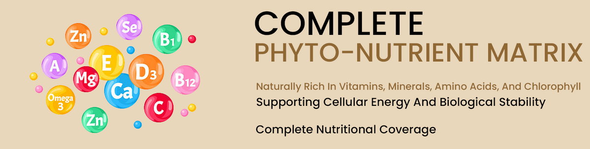 Supports Energy, Metabolism, And Cellular Function
