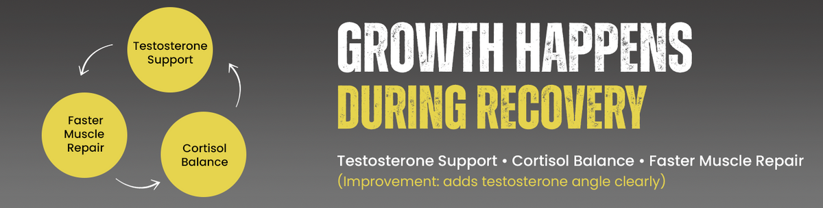 Accelerates Muscle Recovery And Repair