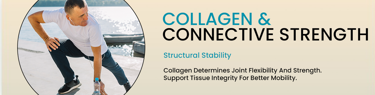 Reinforcing Connective Tissue Strength