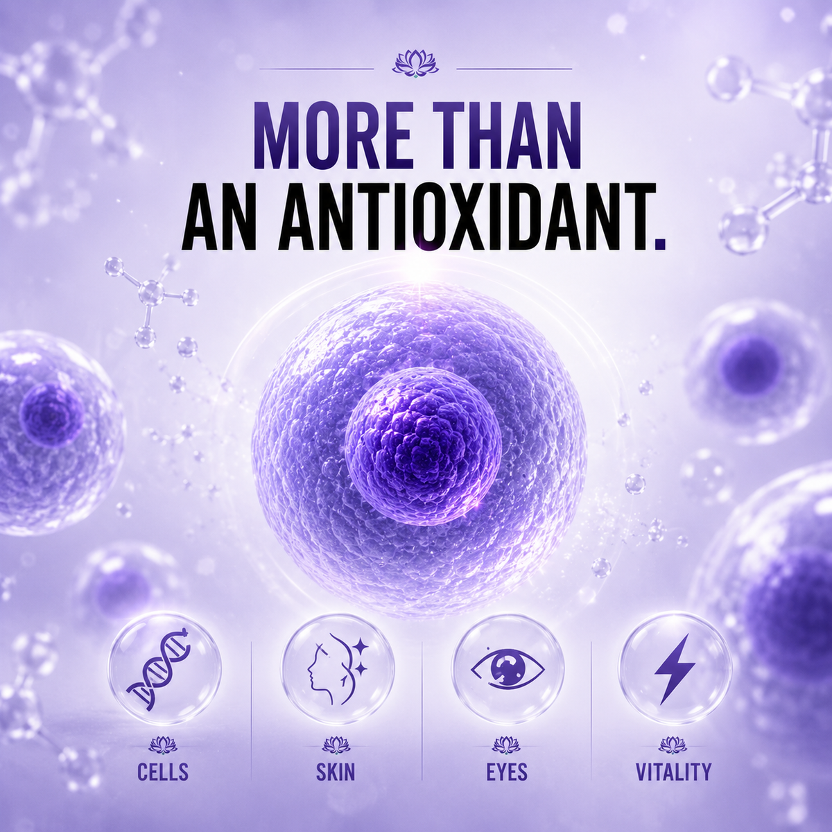 MORE THAN ANTIOXIDANT SUPPORT.