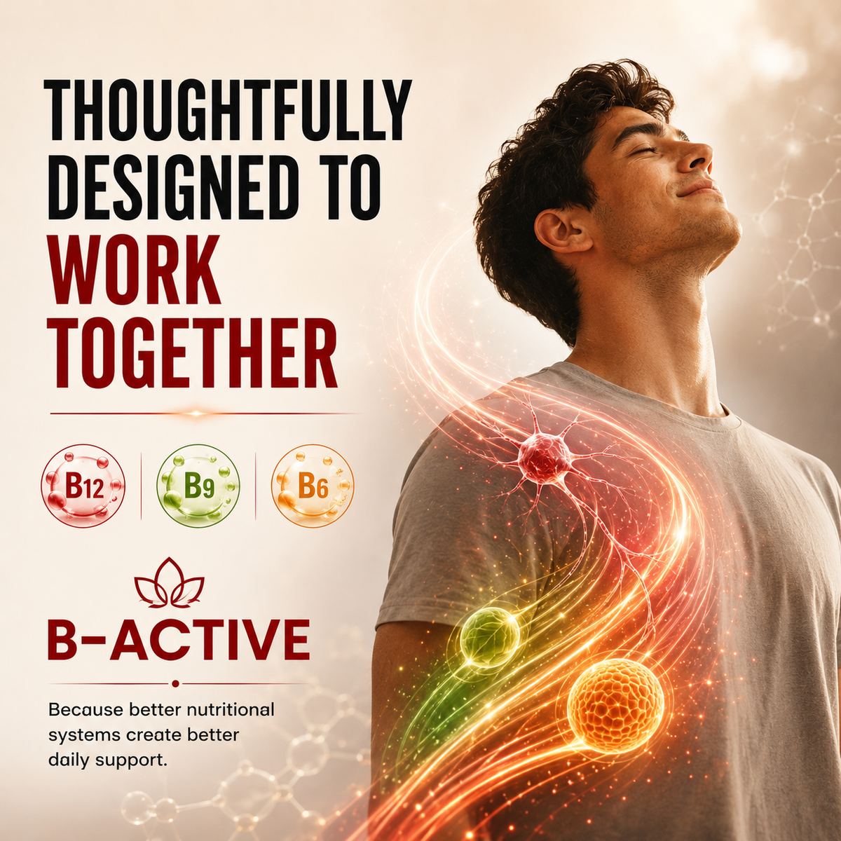 A Synergistic B-Vitamin System For Daily Vitality