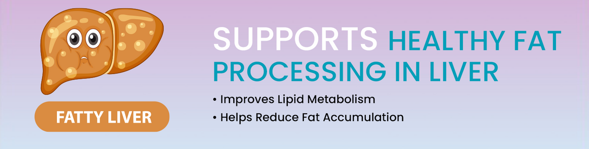 Supports Healthy Fat Processing And Liver Metabolism